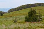 Filename=DSC_0133.jpg
Filesize=298KB
Dimensions=1024x678
Date added=May 23, 2016 DSC_0133.jpg
