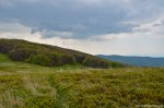 Filename=DSC_0140.jpg
Filesize=326KB
Dimensions=1024x678
Date added=May 23, 2016 DSC_0140.jpg