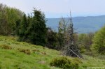 Filename=DSC_0143.jpg
Filesize=302KB
Dimensions=1024x678
Date added=May 23, 2016 DSC_0143.jpg
