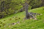 Filename=DSC_0149.jpg
Filesize=330KB
Dimensions=1024x678
Date added=May 23, 2016 DSC_0149.jpg