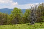 Filename=DSC_0150.jpg
Filesize=330KB
Dimensions=1024x678
Date added=May 23, 2016 DSC_0150.jpg