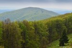 Filename=DSC_0152.jpg
Filesize=334KB
Dimensions=1024x678
Date added=May 23, 2016 DSC_0152.jpg