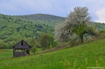 Filename=DSC_0162.jpg
Filesize=281KB
Dimensions=1024x678
Date added=May 23, 2016 DSC_0162.jpg