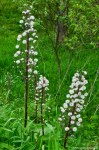 Filename=DSC_0170.jpg
Filesize=298KB
Dimensions=678x1024
Date added=May 22, 2016 DSC_0170.jpg