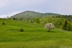 Filename=DSC_0171.jpg
Filesize=321KB
Dimensions=1024x678
Date added=May 23, 2016 DSC_0171.jpg