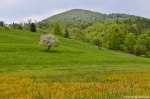 Filename=DSC_0172.jpg
Filesize=314KB
Dimensions=1024x678
Date added=May 23, 2016 DSC_0172.jpg