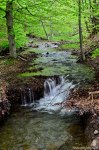 Filename=DSC_0200.jpg
Filesize=282KB
Dimensions=678x1024
Date added=May 23, 2016 DSC_0200.jpg