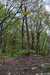 Filename=DSC_0218.jpg
Filesize=302KB
Dimensions=678x1024
Date added=May 23, 2016 DSC_0218.jpg