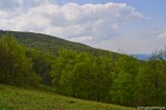 Filename=DSC_0227.jpg
Filesize=311KB
Dimensions=1024x678
Date added=May 23, 2016 DSC_0227.jpg