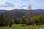 Filename=DSC_9614.jpg
Filesize=326KB
Dimensions=1024x678
Date added=Apr 26, 2016 DSC_9614.jpg