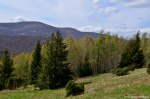 Filename=DSC_9619.jpg
Filesize=263KB
Dimensions=1024x678
Date added=Apr 26, 2016 DSC_9619.jpg