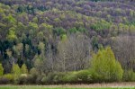 Filename=DSC_9668.jpg
Filesize=334KB
Dimensions=1024x678
Date added=May 13, 2016 DSC_9668.jpg