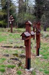 Filename=DSC_9692.jpg
Filesize=278KB
Dimensions=678x1024
Date added=May 13, 2016 DSC_9692.jpg
