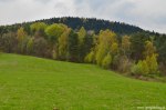 Filename=DSC_9720.jpg
Filesize=325KB
Dimensions=1024x678
Date added=May 13, 2016 DSC_9720.jpg