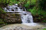 Filename=DSC_9783.jpg
Filesize=316KB
Dimensions=1024x678
Date added=May 14, 2016 DSC_9783.jpg