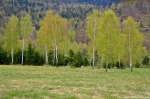 Filename=DSC_9810.jpg
Filesize=338KB
Dimensions=1024x678
Date added=May 14, 2016 DSC_9810.jpg