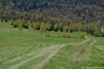 Filename=DSC_9817.jpg
Filesize=300KB
Dimensions=1024x678
Date added=May 14, 2016 DSC_9817.jpg
