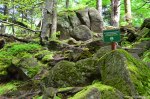 Filename=DSC_9901.jpg
Filesize=292KB
Dimensions=1024x678
Date added=May 19, 2016 DSC_9901.jpg