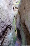 Filename=DSC_9911.jpg
Filesize=326KB
Dimensions=678x1024
Date added=May 19, 2016 DSC_9911.jpg