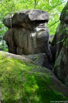 Filename=DSC_9917.jpg
Filesize=329KB
Dimensions=678x1024
Date added=May 19, 2016 DSC_9917.jpg
