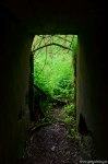Filename=DSC_9922.jpg
Filesize=301KB
Dimensions=678x1024
Date added=May 19, 2016 DSC_9922.jpg