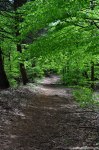 Filename=DSC_9930.jpg
Filesize=288KB
Dimensions=678x1024
Date added=May 19, 2016 DSC_9930.jpg