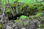Filename=DSC_9992.jpg
Filesize=292KB
Dimensions=1024x678
Date added=May 22, 2016 DSC_9992.jpg