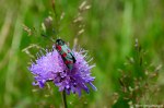 Filename=DSC_0391.jpg
Filesize=226KB
Dimensions=1024x678
Date added=Aug 04, 2016 DSC_0391.jpg