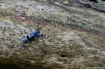 Filename=DSC_0511.jpg
Filesize=319KB
Dimensions=1024x678
Date added=Aug 04, 2016 DSC_0511.jpg