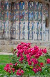 Filename=DSC_0628.jpg
Filesize=296KB
Dimensions=678x1024
Date added=Aug 18, 2016 DSC_0628.jpg