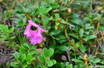 Filename=DSC_0690.jpg
Filesize=272KB
Dimensions=1024x678
Date added=Aug 18, 2016 DSC_0690.jpg