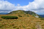 Filename=DSC_0788.jpg
Filesize=278KB
Dimensions=1024x678
Date added=Aug 18, 2016 DSC_0788.jpg