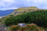 Filename=DSC_0797.jpg
Filesize=265KB
Dimensions=1024x678
Date added=Aug 18, 2016 DSC_0797.jpg