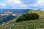 Filename=DSC_0812.jpg
Filesize=339KB
Dimensions=1024x678
Date added=Aug 18, 2016 DSC_0812.jpg