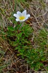 Filename=DSC_0826.jpg
Filesize=294KB
Dimensions=678x1024
Date added=Aug 18, 2016 DSC_0826.jpg
