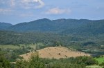 Filename=DSC_0971.jpg
Filesize=305KB
Dimensions=1024x678
Date added=Sep 22, 2016 DSC_0971.jpg