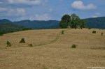Filename=DSC_0983.jpg
Filesize=308KB
Dimensions=1024x678
Date added=Sep 22, 2016 DSC_0983.jpg