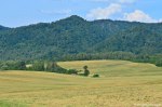 Filename=DSC_1035.jpg
Filesize=276KB
Dimensions=1024x678
Date added=Sep 22, 2016 DSC_1035.jpg