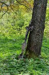 Filename=DSC_1045.jpg
Filesize=330KB
Dimensions=678x1024
Date added=Sep 22, 2016 DSC_1045.jpg