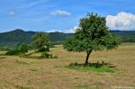 Filename=DSC_1057.jpg
Filesize=272KB
Dimensions=1024x678
Date added=Sep 22, 2016 DSC_1057.jpg
