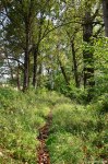 Filename=DSC_1064.jpg
Filesize=291KB
Dimensions=678x1024
Date added=Sep 22, 2016 DSC_1064.jpg