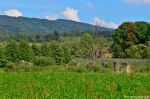 Filename=DSC_1096.jpg
Filesize=285KB
Dimensions=1024x678
Date added=Sep 22, 2016 DSC_1096.jpg