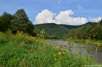 Filename=DSC_1114.jpg
Filesize=282KB
Dimensions=1024x678
Date added=Sep 22, 2016 DSC_1114.jpg