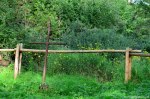 Filename=DSC_1128.jpg
Filesize=308KB
Dimensions=1024x678
Date added=Sep 22, 2016 DSC_1128.jpg