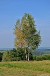 Filename=DSC_1244.jpg
Filesize=315KB
Dimensions=678x1024
Date added=Oct 20, 2016 DSC_1244.jpg
