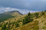 Filename=DSC_1325.jpg
Filesize=281KB
Dimensions=1024x678
Date added=Jan 02, 2017 DSC_1325.jpg