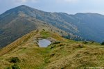 Filename=DSC_1359.jpg
Filesize=285KB
Dimensions=1024x678
Date added=Jan 02, 2017 DSC_1359.jpg