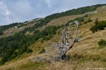 Filename=DSC_1360.jpg
Filesize=331KB
Dimensions=1024x678
Date added=Jan 02, 2017 DSC_1360.jpg
