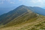 Filename=DSC_1366.jpg
Filesize=330KB
Dimensions=1024x678
Date added=Jan 02, 2017 DSC_1366.jpg