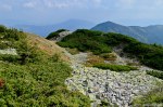 Filename=DSC_1380.jpg
Filesize=307KB
Dimensions=1024x678
Date added=Jan 02, 2017 DSC_1380.jpg